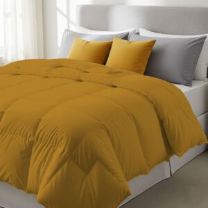 color comforter 300x300